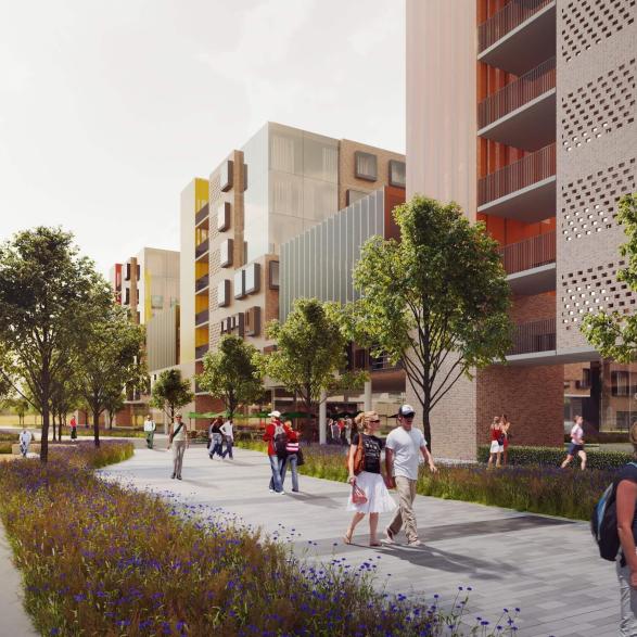 One thousand student bedrooms for Maynooth University, arranged as a ladder of blocks forming four walled residential quads.