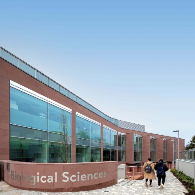 Scott Tallon Walker Architects, in conjunction with White Ink Architects, has delivered a dynamic and stimulating teaching and research environment