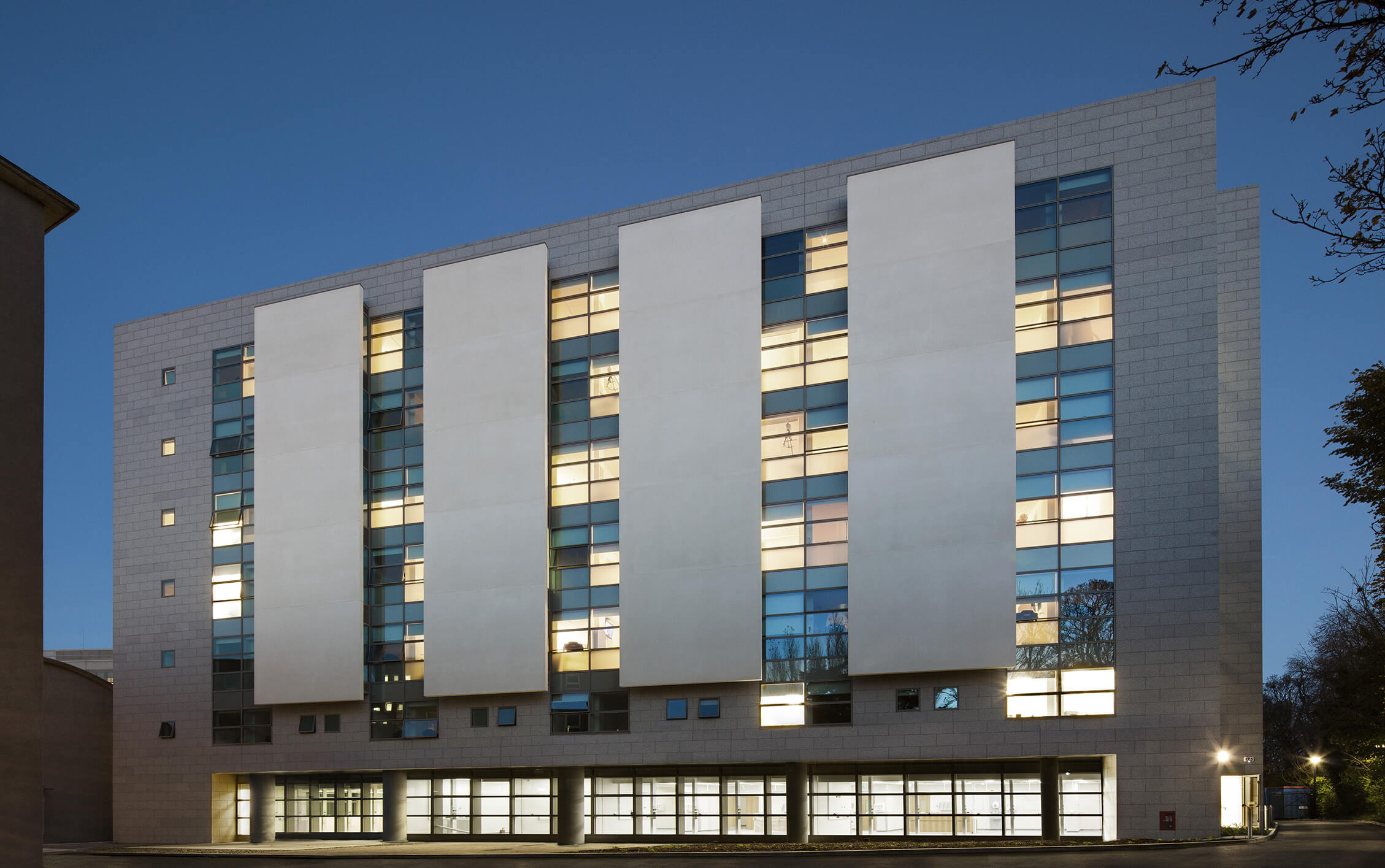 St. Vincent's University Hospital Nutley Ward