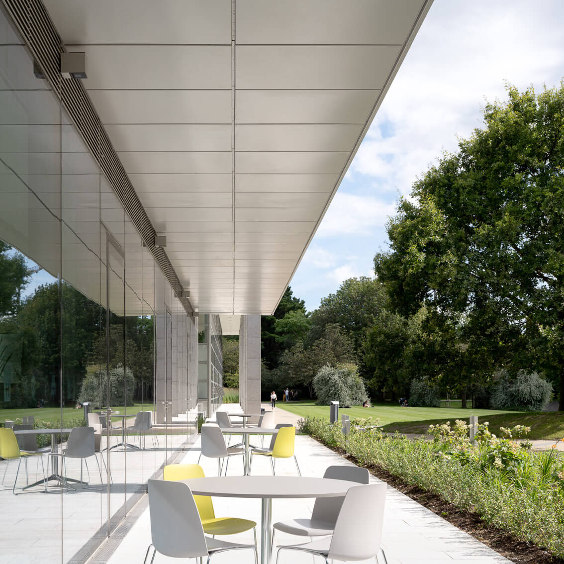 UCD Club