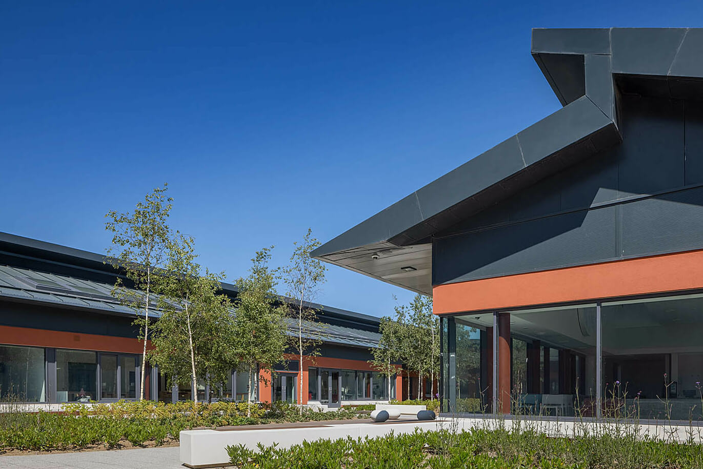 National Forensic Mental Health Service