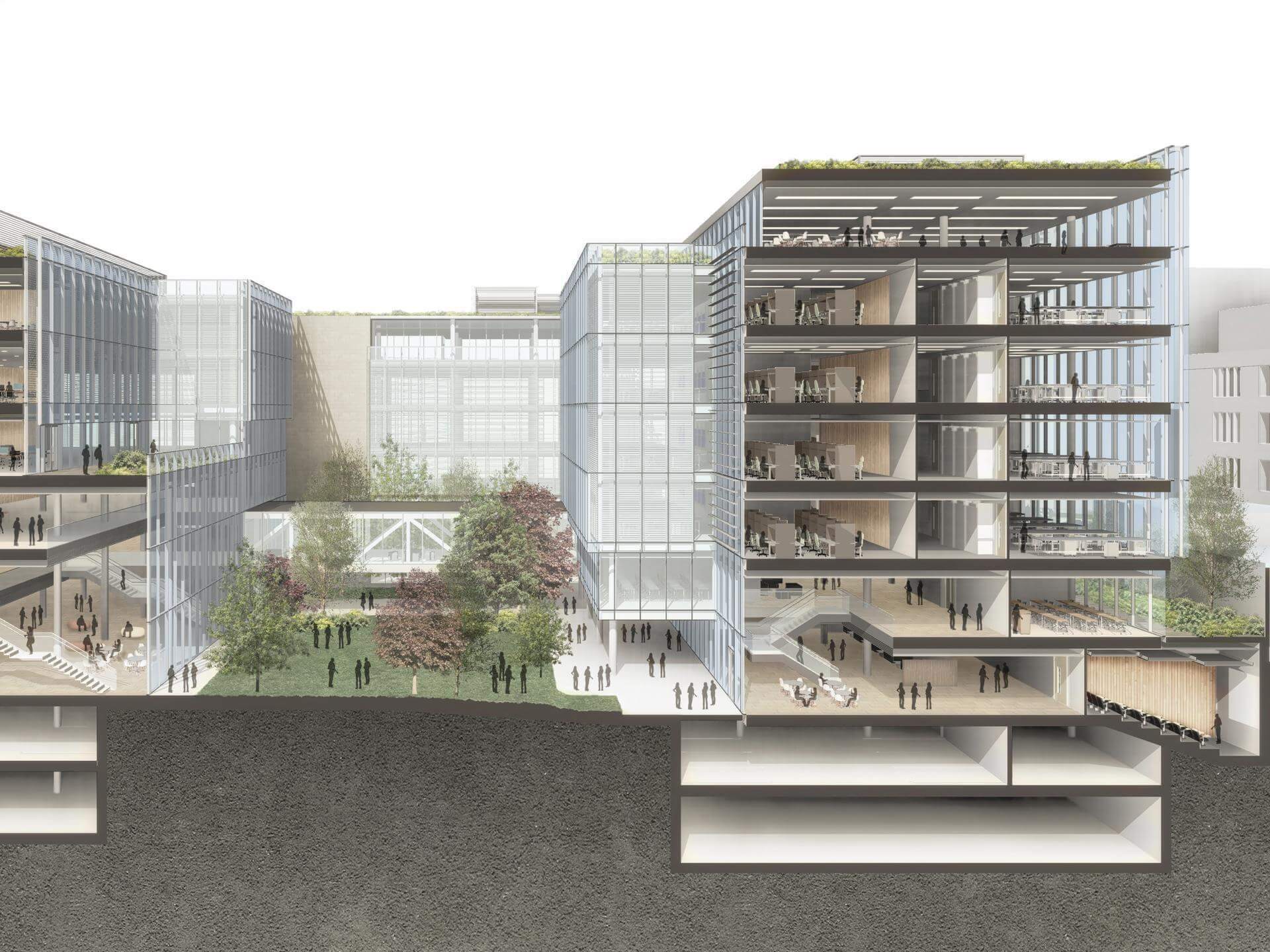 Royal College of Surgeons Masterplan